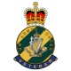 8th Kings Royal Irish Hussars HM Armed Forces Veterans Sticker